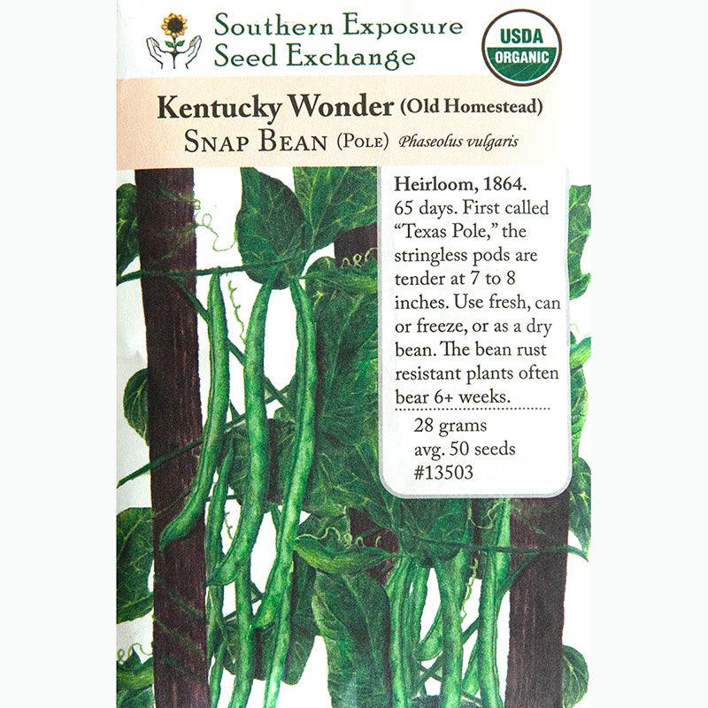 Kentucky Wonder Pole Bean Seeds (Organic) Southern Exposure Seed Exchange