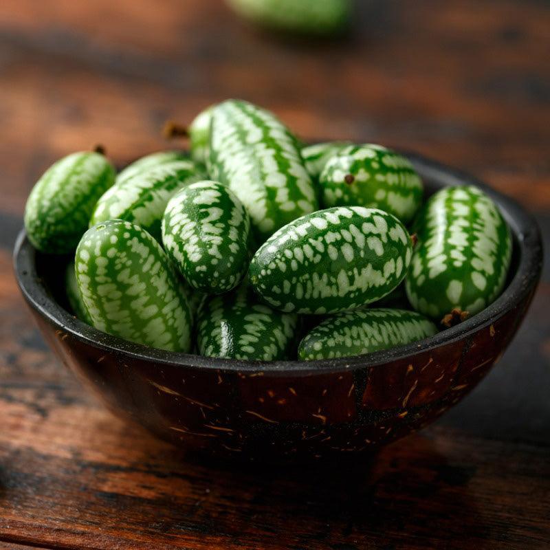Mexican Sour Gherkin Seeds (Organic) Southern Exposure Seed Exchange