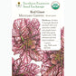 Seed Pack For Red Giant Mustard Greens By Southern Exposure Seed Exchange 