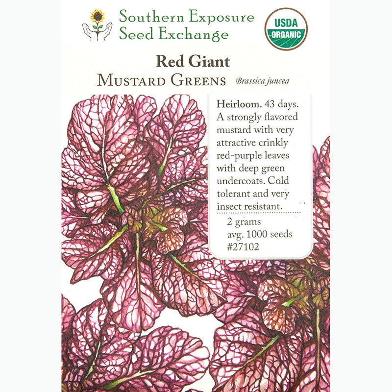 Red Giant Mustard Seeds (Organic) Southern Exposure Seed Exchange