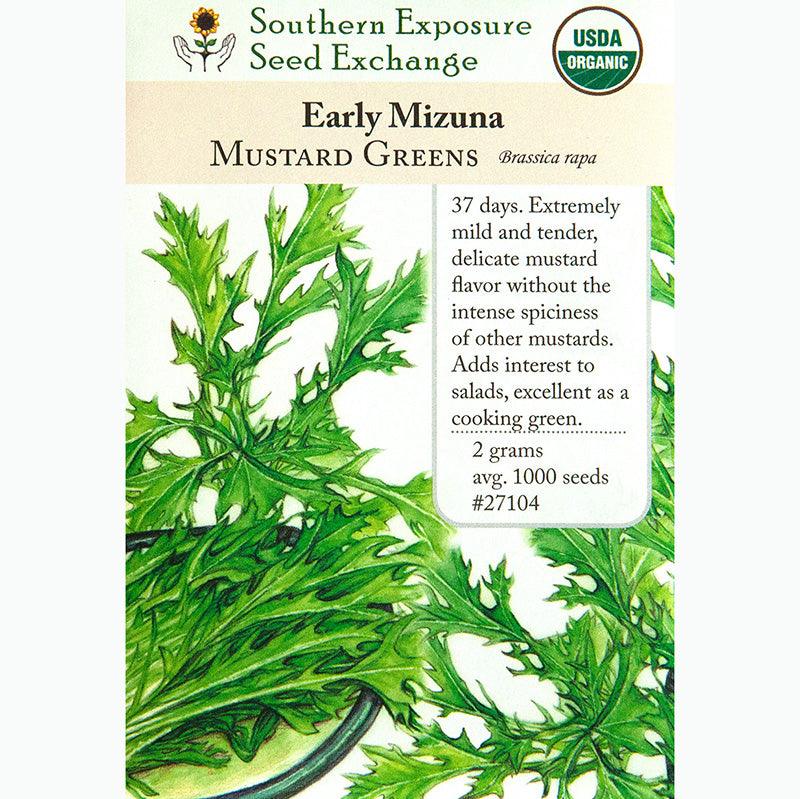 Early Mizuna Mustard Seeds (Organic) Southern Exposure Seed Exchange