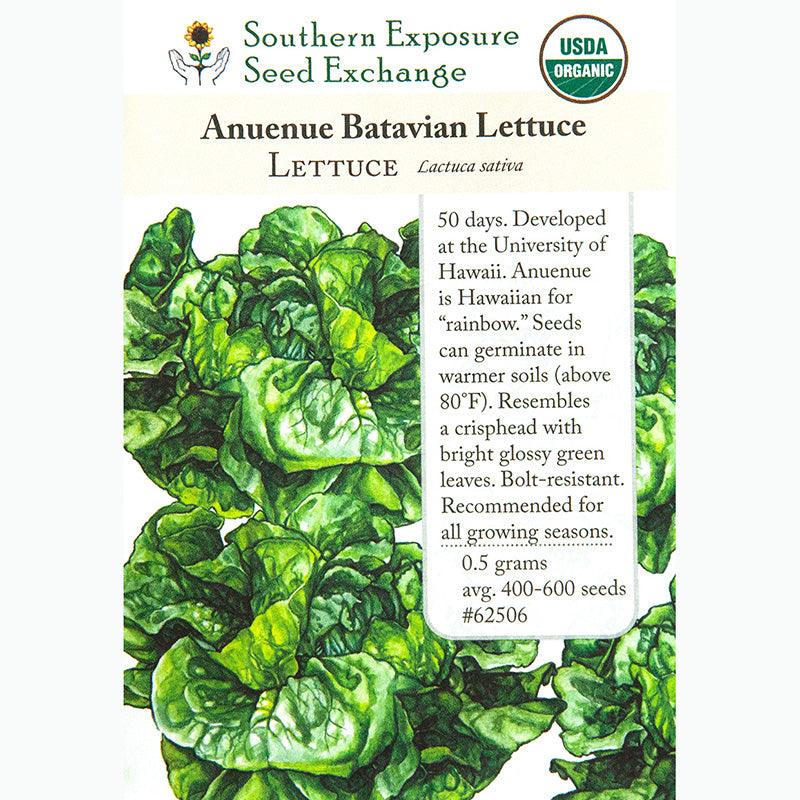 Anuenue Crisphead/Batavian Lettuce Seeds (Organic) Southern Exposure Seed Exchange