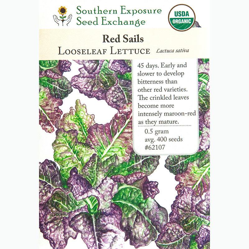 Red Sails Loose Leaf Lettuce Seeds (Organic) Southern Exposure Seed Exchange