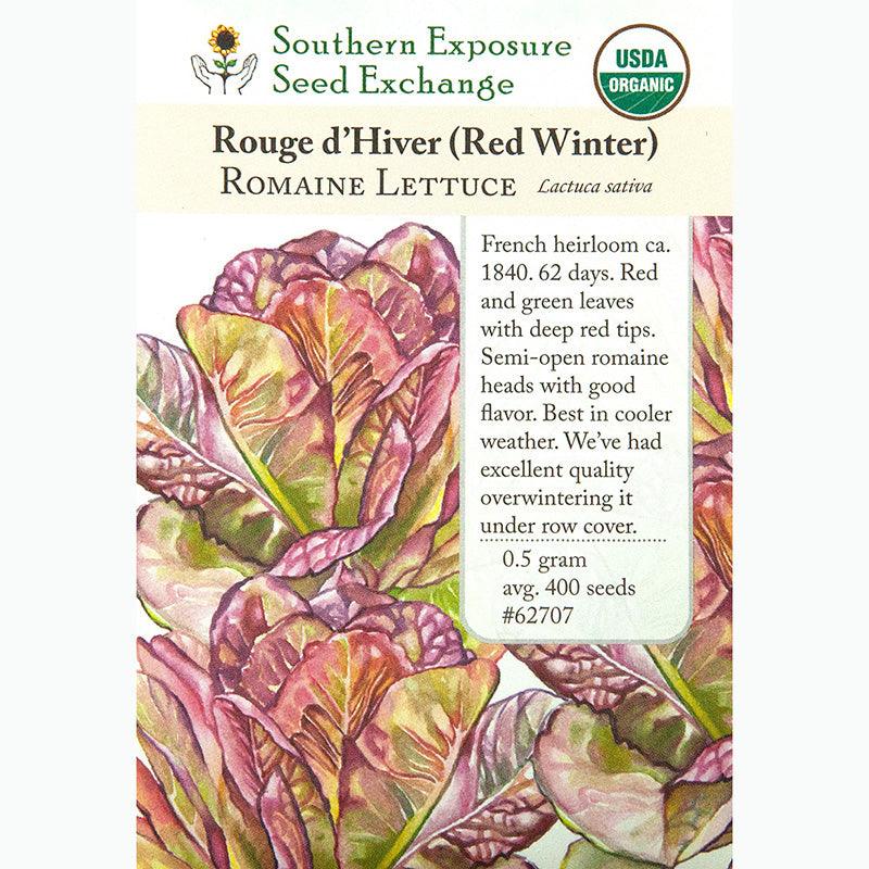 Rouge D'Hiver Romaine/Cos Lettuce Seeds (Organic) Southern Exposure Seed Exchange