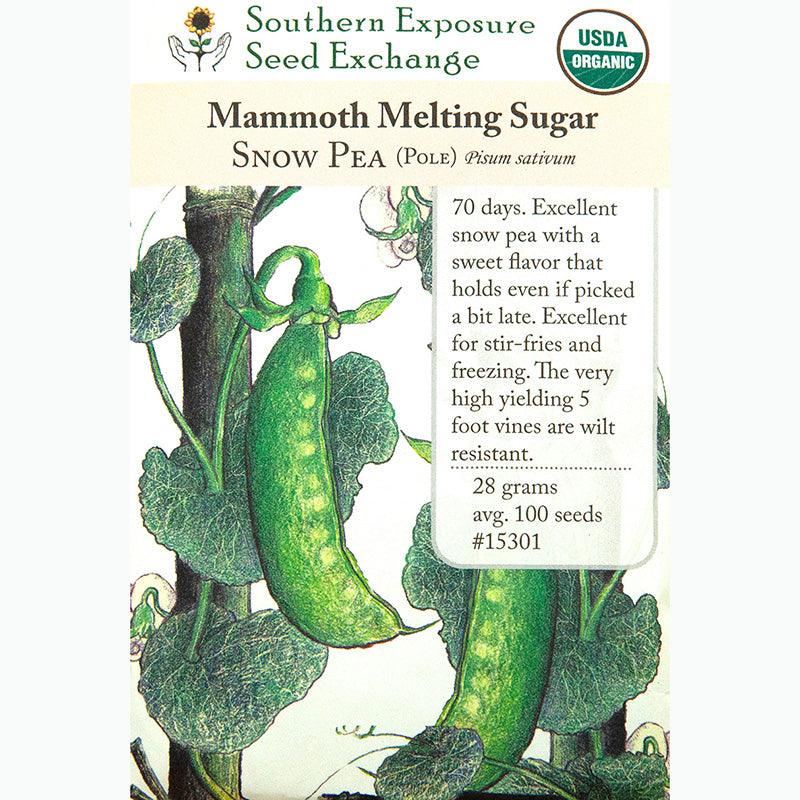 Snow Mammoth Melting Sugar Pea Seeds (Organic) Southern Exposure Seed Exchange