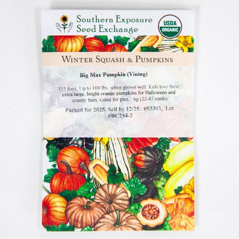 Big Max Pumpkin (Organic) Southern Exposure Seed Exchange