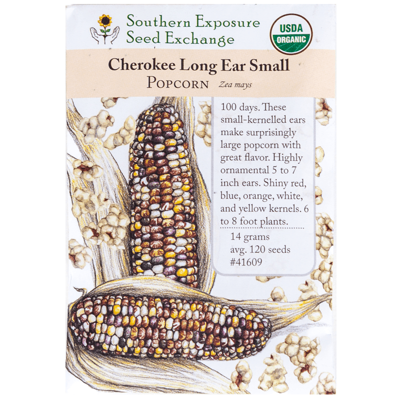 Cherokee Long Ear Popcorn Corn (Organic) Southern Exposure Seed Exchange