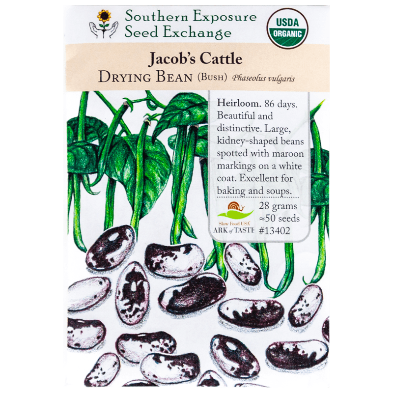 Jacob's Cattle Bush Dry Bean (Organic) Southern Exposure Seed Exchange