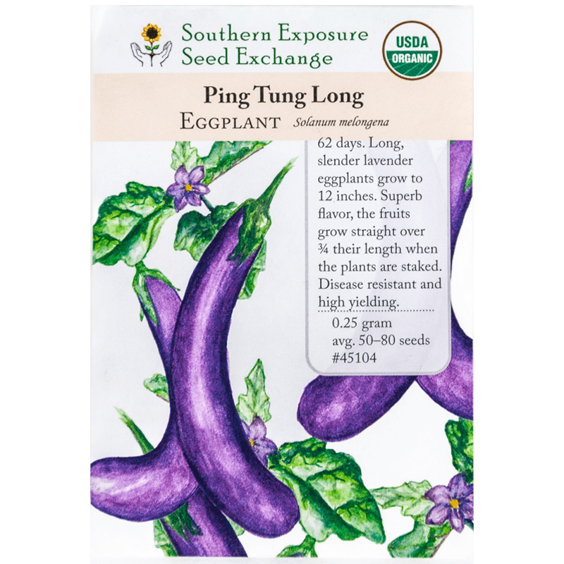 Ping Tung Long Eggplant Southern Exposure Seed Exchange