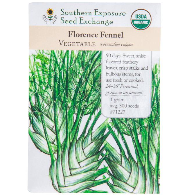 Florence Fennel (Organic) Southern Exposure Seed Exchange