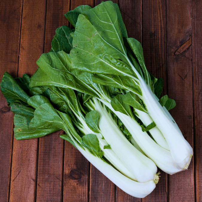 White-Stemmed Pak Choi (Organic) Southern Exposure Seed Exchange