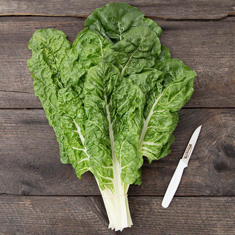 Fordhook Giant Chard Seeds (Organic) High Mowing Seeds