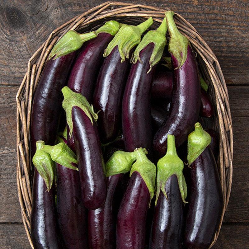 Little Finger Eggplant Seeds (Organic) High Mowing Seeds