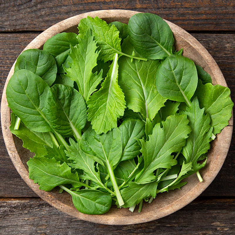 A wooden bowl filled with Mild Mustard Blend leaves, resting on a wooden blank background 