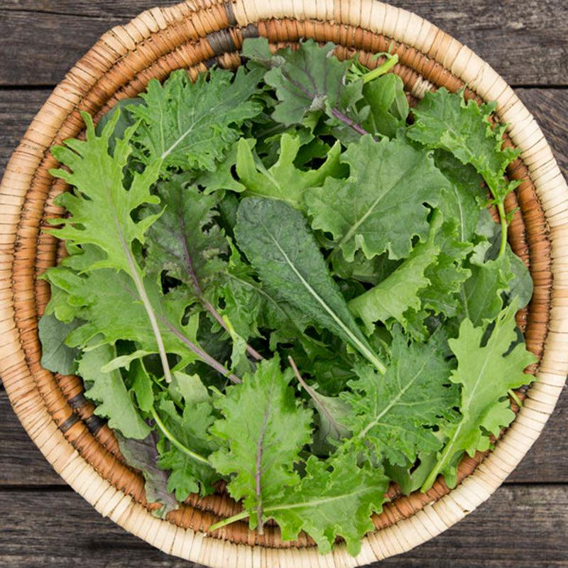 A woven basket resting on wooden planks, full of Ironman Kale Mix, leaves are varied shapes and shades of green