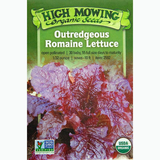 Outredgeous Romaine Lettuce Seeds (Organic) High Mowing Seeds
