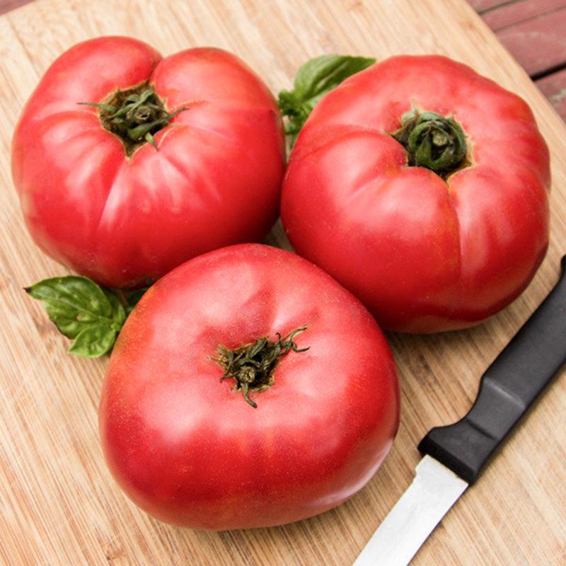 Prudens Purple Tomato Seeds (Organic) High Mowing Seeds