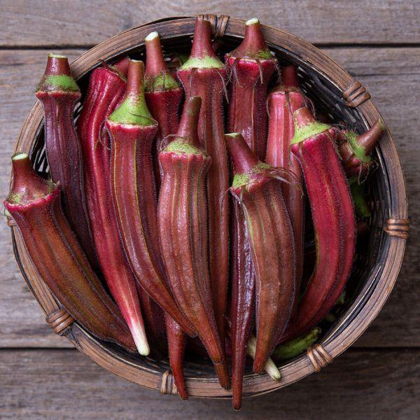 Burgundy Okra (Organic) High Mowing Seeds