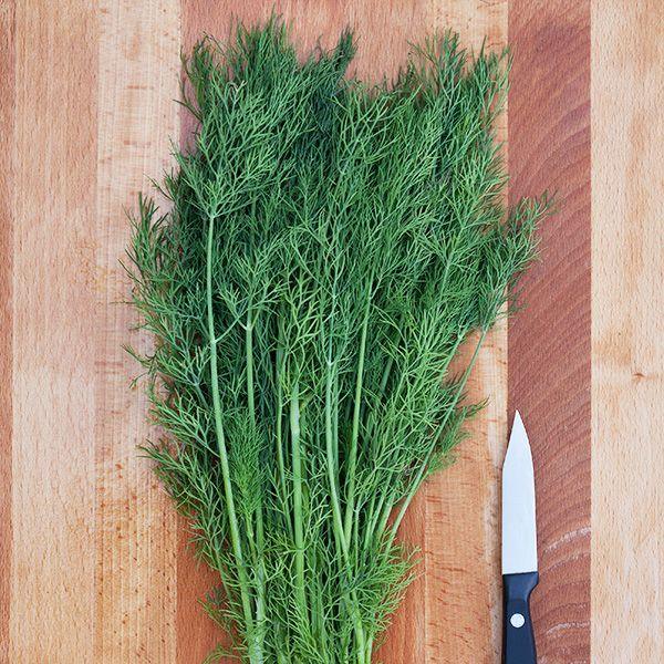 Greensleeves Dill (Organic) High Mowing Seeds