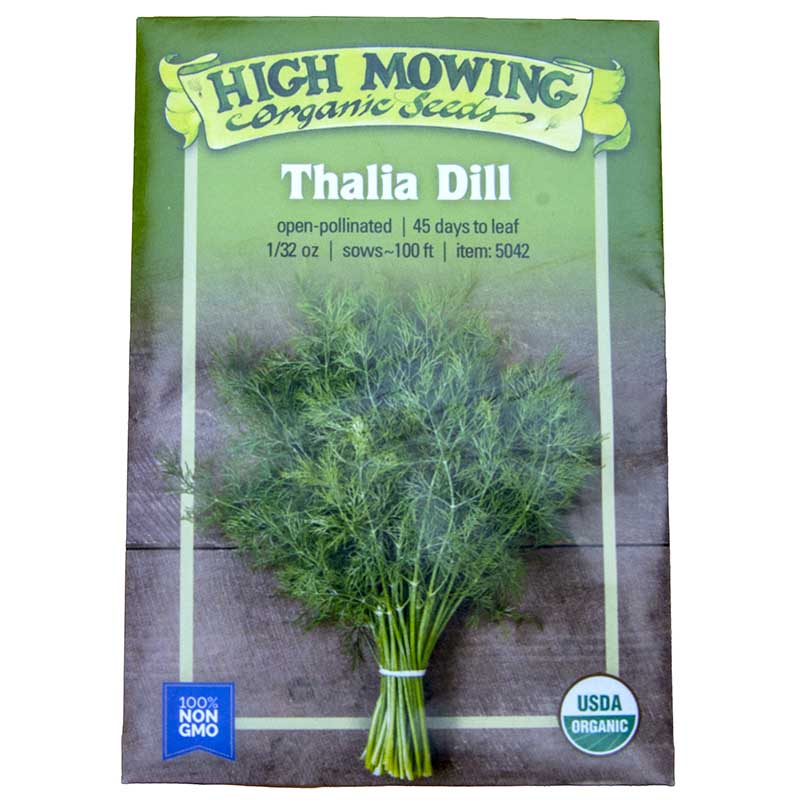plant dill seeds Organic Thalia Dill Seeds – Grow Organic