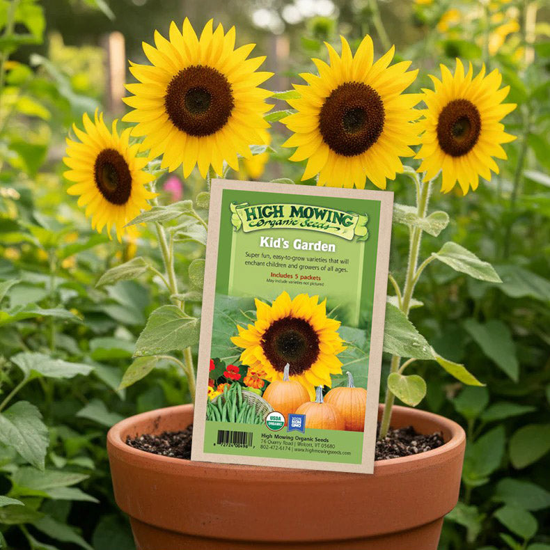 garden flower seed packets Kid's Garden 5 Seeds Packets (Organic)