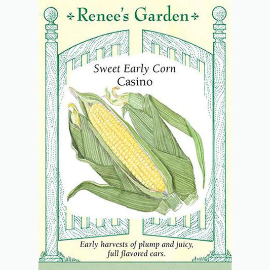 Casino Sweet Early Corn Seeds Renee's Garden