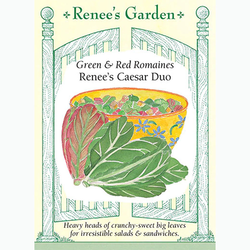 Seed Pack For Renee's Caesar Duo By Renee's Garden