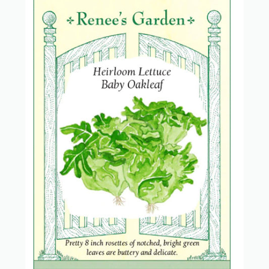 Seed Pack For Baby Oakleaf Heirloom Lettuce By Renee's Garden 
