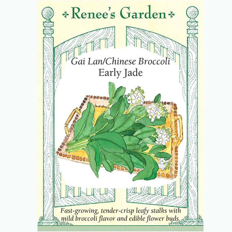 Early Jade Gai Lan/Chinese Broccoli Seeds Renee's Garden