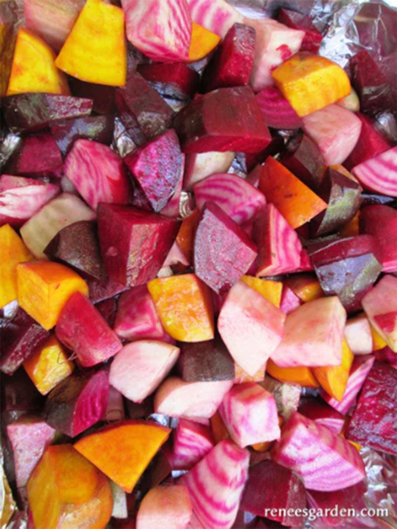 Five Color Rainbow Gourmet Beet Seed Mix Renee's Garden