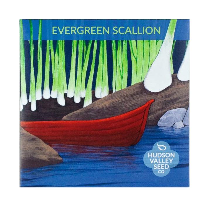 Evergreen Scallion Art Pack Hudson Valley Seed Company