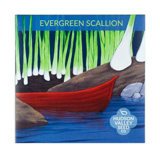 Evergreen Scallion Art Pack Hudson Valley Seed Company