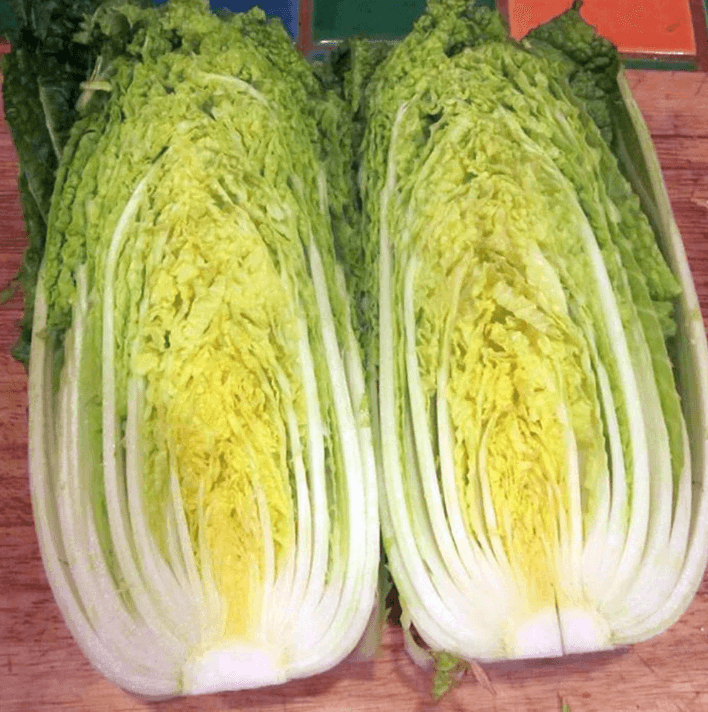 Nozaki Chinese Cabbage Art Pack Hudson Valley Seed Company