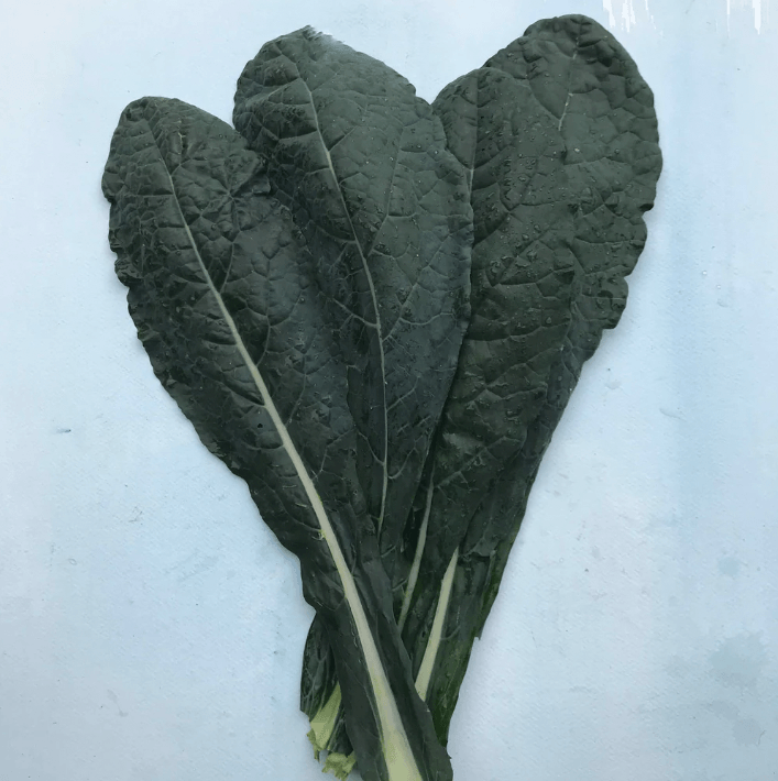 Dino Kale Art Pack Hudson Valley Seed Company