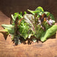 Metta lettuce gracefully depicted on a cutting board