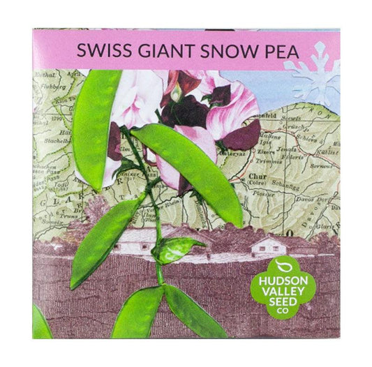 Swiss Giant Snow Pea Art Pack (Organic) Hudson Valley Seed Company