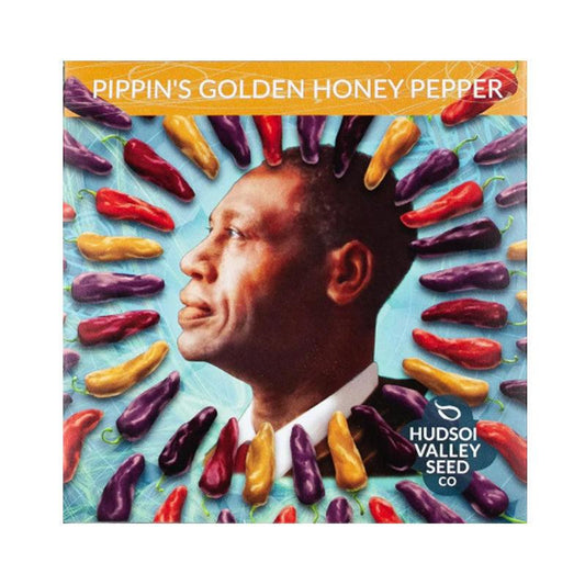 Pippin's Golden Honey Sweet Pepper Art Pack (Organic) Hudson Valley Seed Company