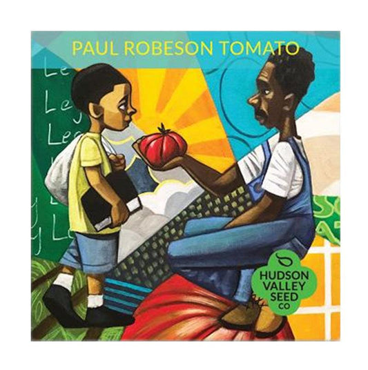 Paul Robeson Tomato Art Pack (Organic) Hudson Valley Seed Company