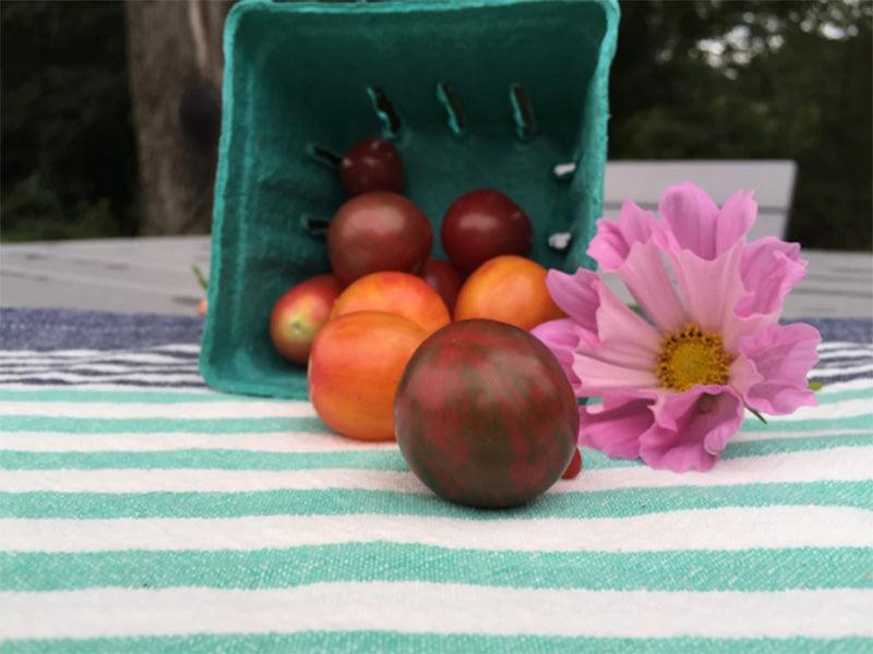 Bumble Bee Cherry Tomato Mix Art Pack (Organic) Hudson Valley Seed Company