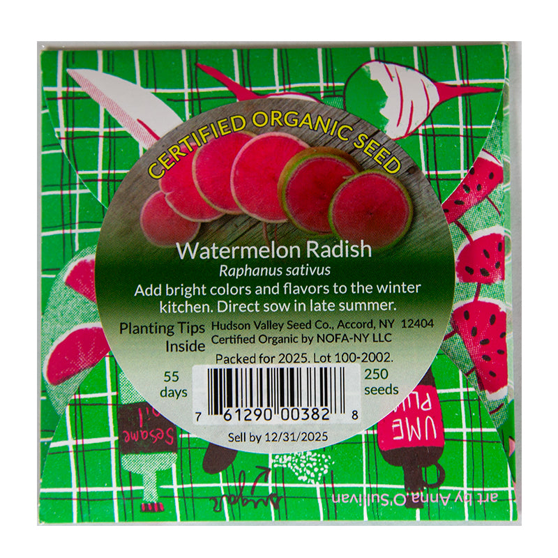 Organic Watermelon Radish Art Pack