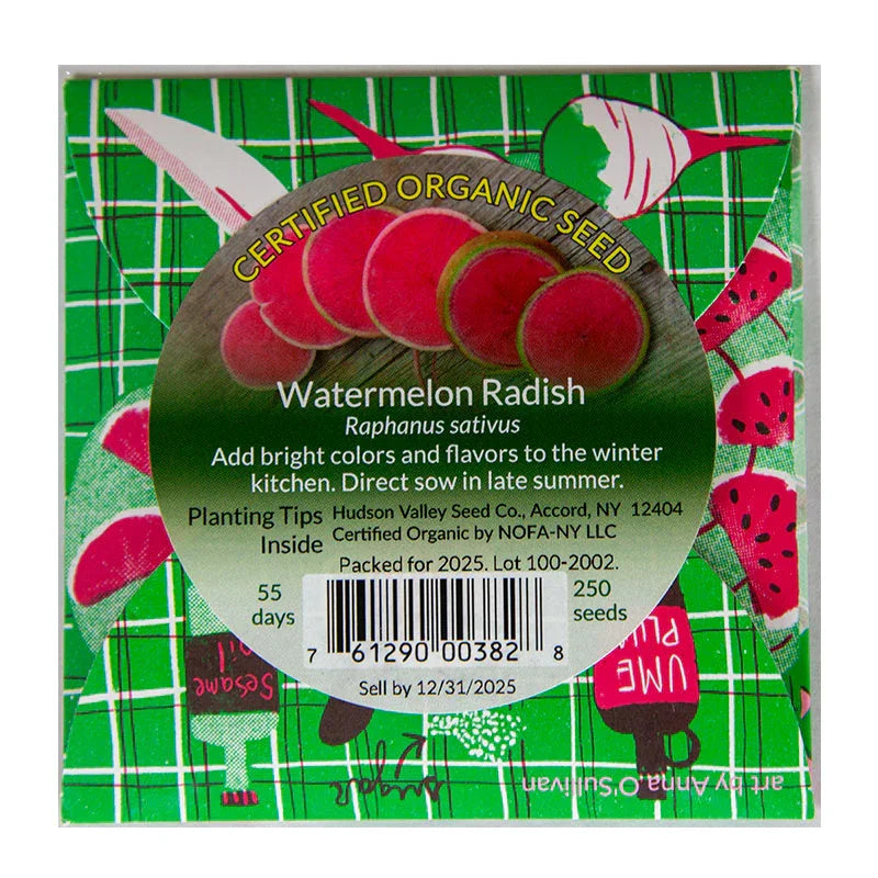 Organic Watermelon Radish Art Pack Grow Organic