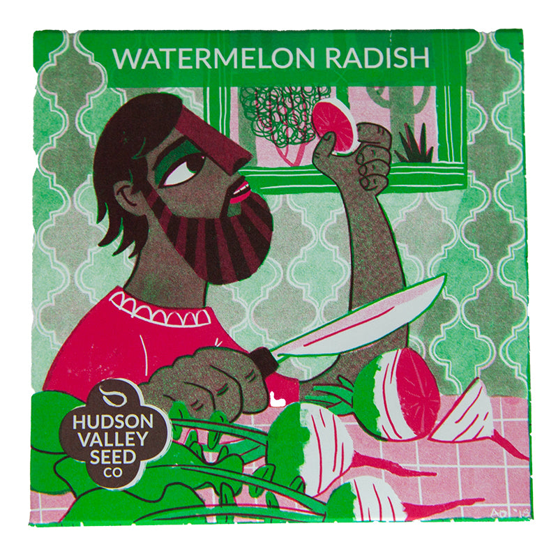 Organic Watermelon Radish Art Pack