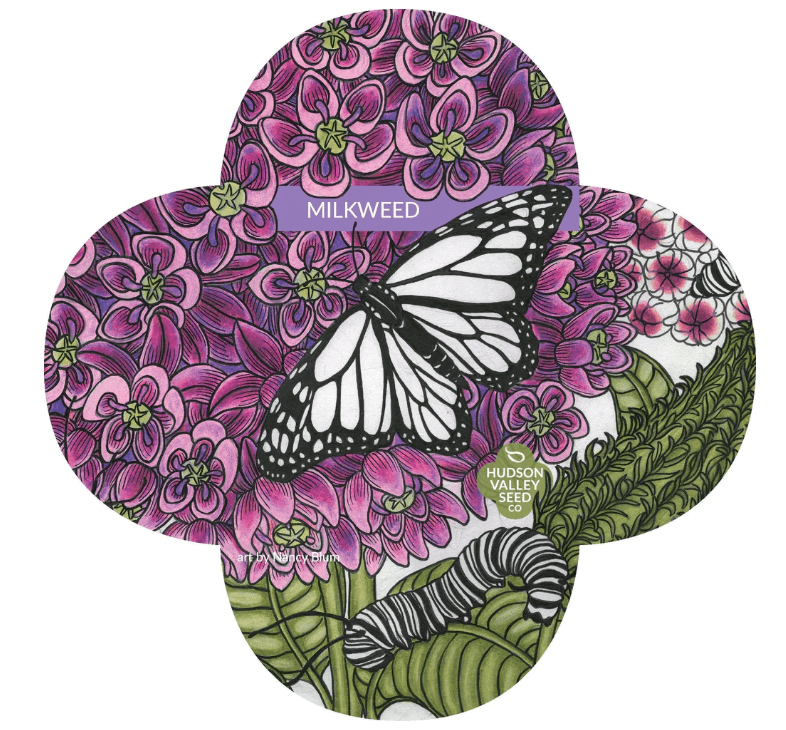 Milkweed Art Pack Hudson Valley Seed Company