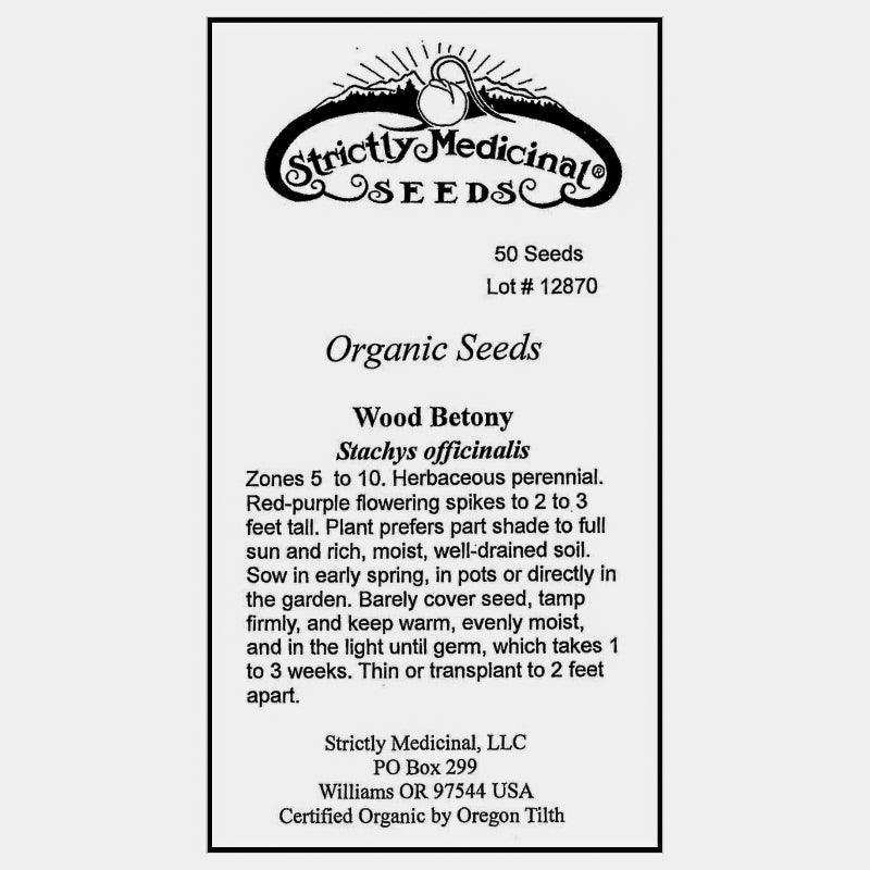 Wood Betony (Organic) Strictly Medicinal