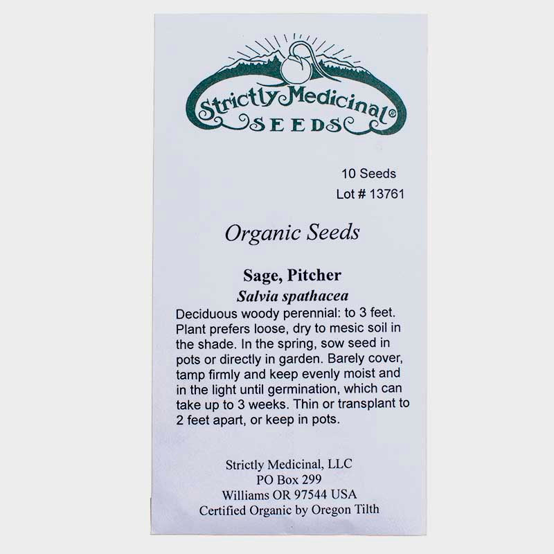 planting sage seeds Pitcher Sage Seeds (Organic) – Grow Organic
