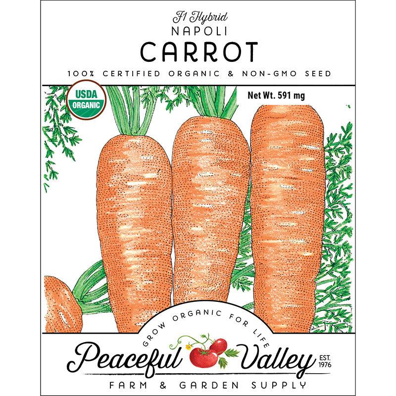 Napoli Carrot Seeds (Organic) Peaceful Valley