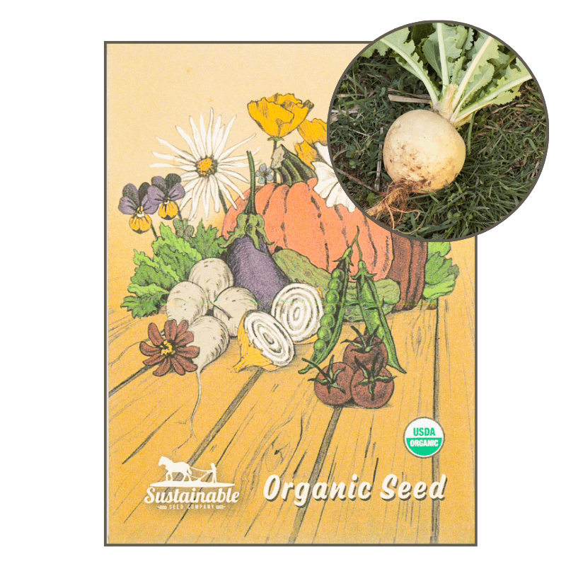 Golden Globe Turnip True Leaf Market