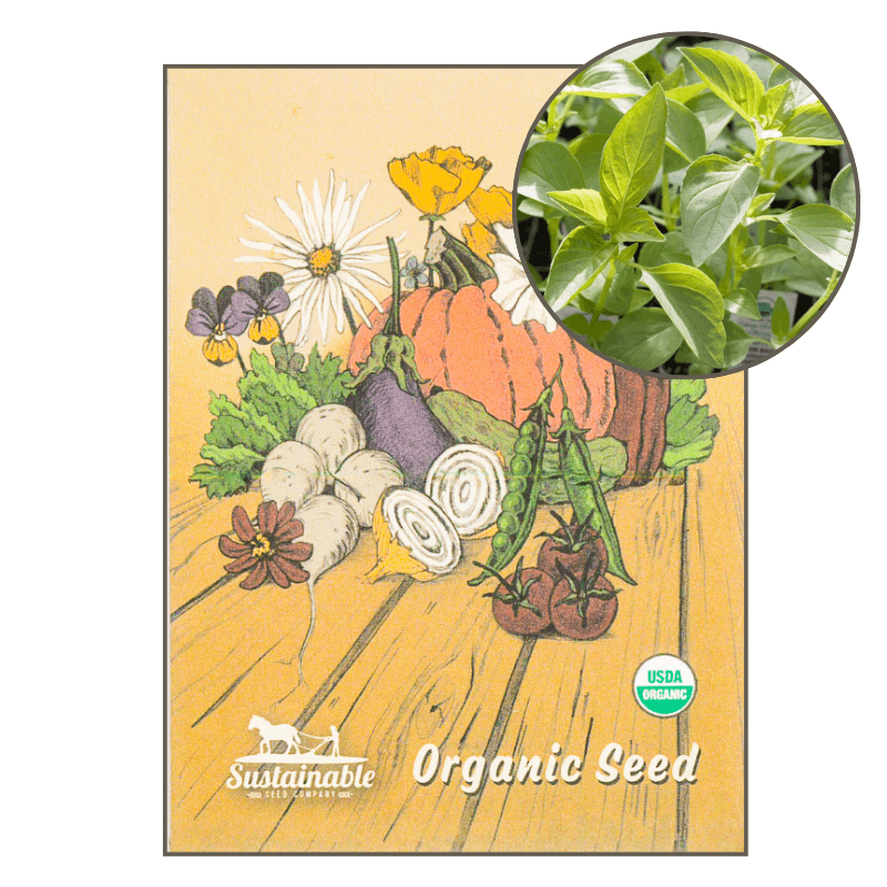 Lemon Basil (Organic) True Leaf Market