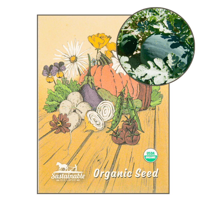 Moon & Stars Watermelon (Organic) True Leaf Market