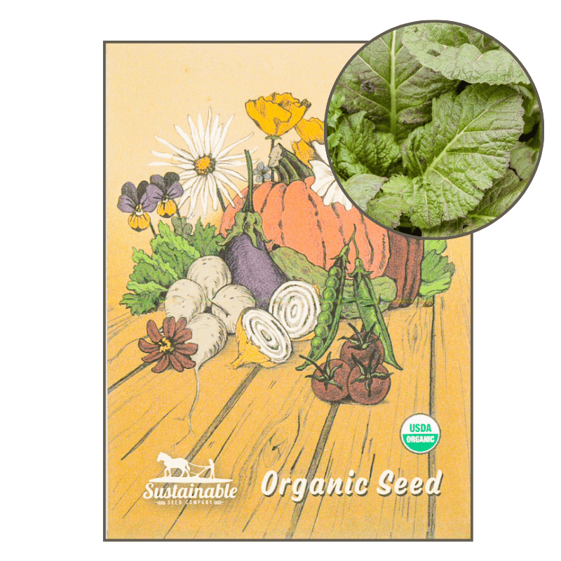 Mustard Giant Red Greens (Organic) True Leaf Market